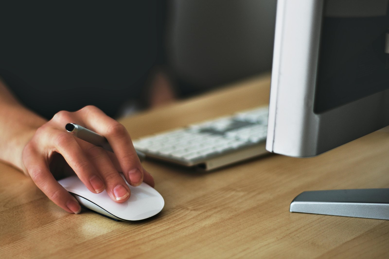 Web Developer Coding